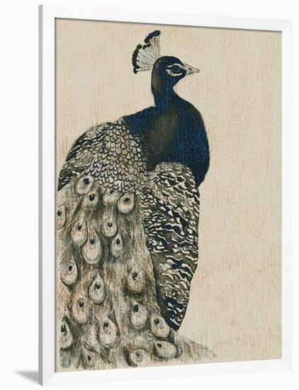 Textured Peacock I-Grace Popp-Framed Art Print