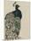 Textured Peacock I-Grace Popp-Mounted Art Print