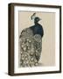 Textured Peacock I-Grace Popp-Framed Art Print