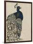 Textured Peacock I-Grace Popp-Framed Premium Giclee Print
