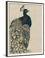 Textured Peacock I-Grace Popp-Framed Premium Giclee Print