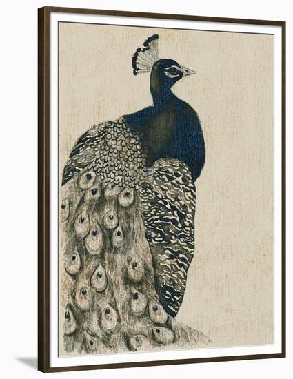 Textured Peacock I-Grace Popp-Framed Premium Giclee Print