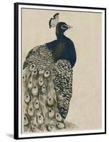 Textured Peacock I-Grace Popp-Framed Premium Giclee Print