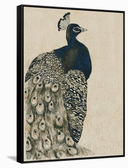 Textured Peacock I-Grace Popp-Framed Stretched Canvas