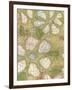 Textured Petals I-Karen Deans-Framed Art Print