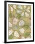Textured Petals I-Karen Deans-Framed Art Print