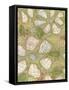 Textured Petals I-Karen Deans-Framed Stretched Canvas