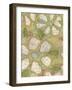 Textured Petals I-Karen Deans-Framed Art Print