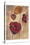 Textured Poppies I-Marietta Cohen-Stretched Canvas