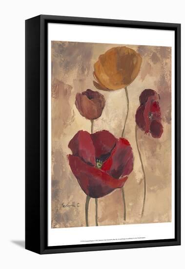 Textured Poppies I-Marietta Cohen-Framed Stretched Canvas