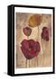 Textured Poppies I-Marietta Cohen-Framed Stretched Canvas