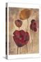 Textured Poppies I-Marietta Cohen-Stretched Canvas
