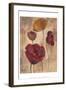 Textured Poppies I-Marietta Cohen-Framed Art Print