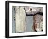 TEXTURED Relief, 2020 (Photography)-Peter McClure-Framed Giclee Print