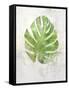 Textured Split Leaf Palm-Ken Roko-Framed Stretched Canvas