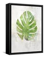 Textured Split Leaf Palm-Ken Roko-Framed Stretched Canvas