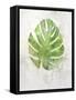 Textured Split Leaf Palm-Ken Roko-Framed Stretched Canvas