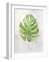 Textured Split Leaf Palm-Ken Roko-Framed Art Print