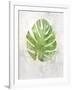 Textured Split Leaf Palm-Ken Roko-Framed Art Print