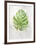 Textured Split Leaf Palm-Ken Roko-Framed Art Print