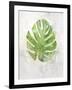 Textured Split Leaf Palm-Ken Roko-Framed Art Print