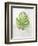 Textured Split Leaf Palm-Ken Roko-Framed Art Print