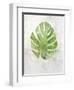 Textured Split Leaf Palm-Ken Roko-Framed Art Print