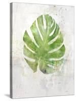 Textured Split Leaf Palm-Ken Roko-Stretched Canvas