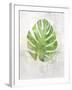 Textured Split Leaf Palm-Ken Roko-Framed Art Print