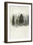 Textured Treeline I-Grace Popp-Framed Art Print