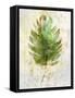 Textured Tropical Palm-Ken Roko-Framed Stretched Canvas