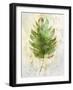 Textured Tropical Palm-Ken Roko-Framed Art Print