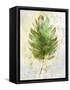 Textured Tropical Palm-Ken Roko-Framed Stretched Canvas