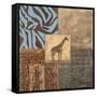 Textures of Africa II-Hakimipour-ritter-Framed Stretched Canvas