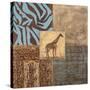 Textures of Africa II-Hakimipour-ritter-Stretched Canvas