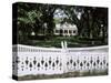 Tezcuco, an Antebellum Cottage, New Orleans, Louisiana, USA-Nedra Westwater-Stretched Canvas