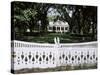 Tezcuco, an Antebellum Cottage, New Orleans, Louisiana, USA-Nedra Westwater-Stretched Canvas