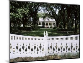 Tezcuco, an Antebellum Cottage, New Orleans, Louisiana, USA-Nedra Westwater-Mounted Photographic Print