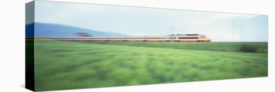 Tgv High-Speed Train Passing through a Grassland-null-Stretched Canvas