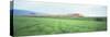 Tgv High-Speed Train Passing through a Grassland-null-Stretched Canvas