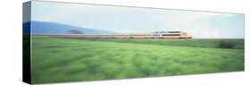 Tgv High-Speed Train Passing through a Grassland-null-Stretched Canvas