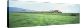 Tgv High-Speed Train Passing through a Grassland-null-Stretched Canvas