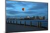 Th New York City Skyline-Gary718-Mounted Photographic Print