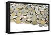 Thai Baht Coins-Anan Kaewkhammul-Framed Stretched Canvas