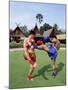 Thai Boxers, the Rose Garden, Bangkok, Thailand, Southeast Asia, Asia-Gavin Hellier-Mounted Photographic Print