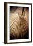 Thai Broom III-Erin Berzel-Framed Photographic Print