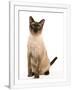 Gramercy White