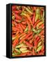 Thai Chili, Khon Kaen Market, Thailand-Gavriel Jecan-Framed Stretched Canvas