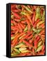 Thai Chili, Khon Kaen Market, Thailand-Gavriel Jecan-Framed Stretched Canvas