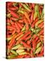 Thai Chili, Khon Kaen Market, Thailand-Gavriel Jecan-Stretched Canvas